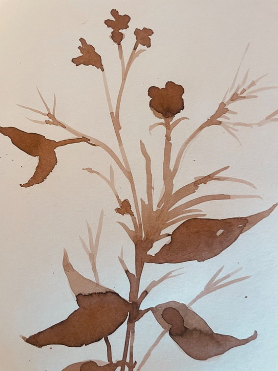 Image 1 of Painting, monochrome sepia still life "dried flowers", signed