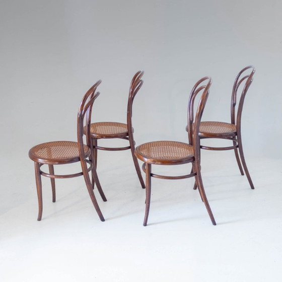 Image 1 of Set van vier eetkamerstoelen uit de jaren 1900, gemaakt van gebogen hout en riet door Josef Hoffmann, met label.