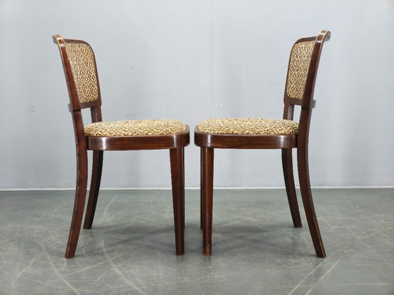 Image 1 of Set di 4 sedie da pranzo Thonet, Cecoslovacchia, anni '40