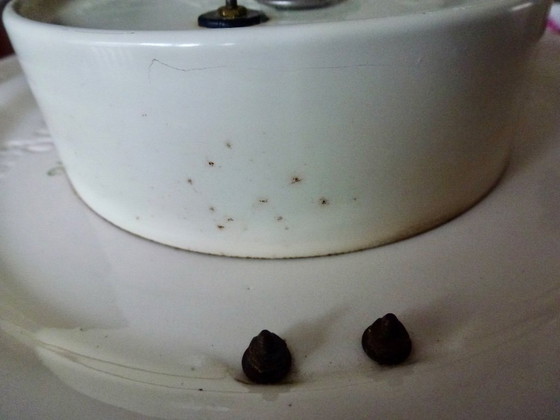 Image 1 of Vintage Junghans wall clock, mint green and gold accents, mid-20th century, Germany