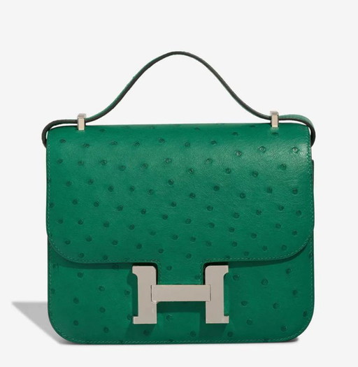 Borsa HERMES Constance en Cuirs exotiques Vert - 103230