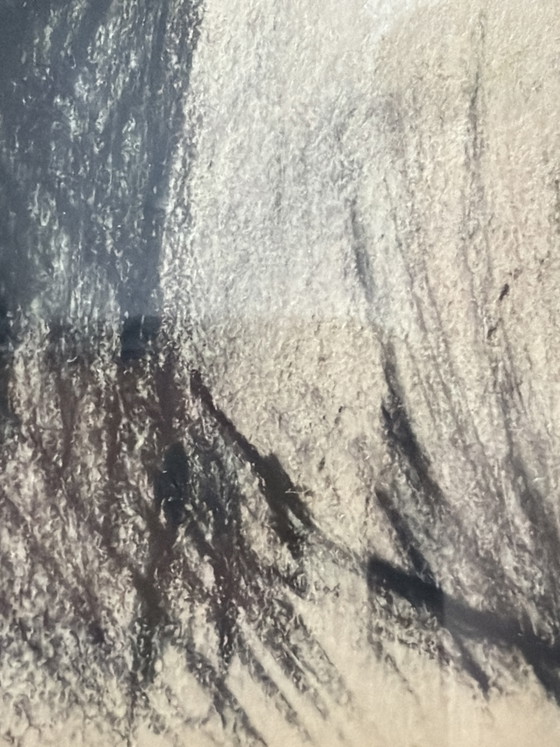Originele Potloodtekening Van Jan Jetten, Boom – Schilderijen & Tekeningen, Glass, Paper (photo 4 of 6)