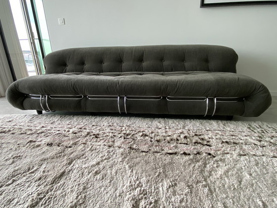 Image 1 of Cassina soriana