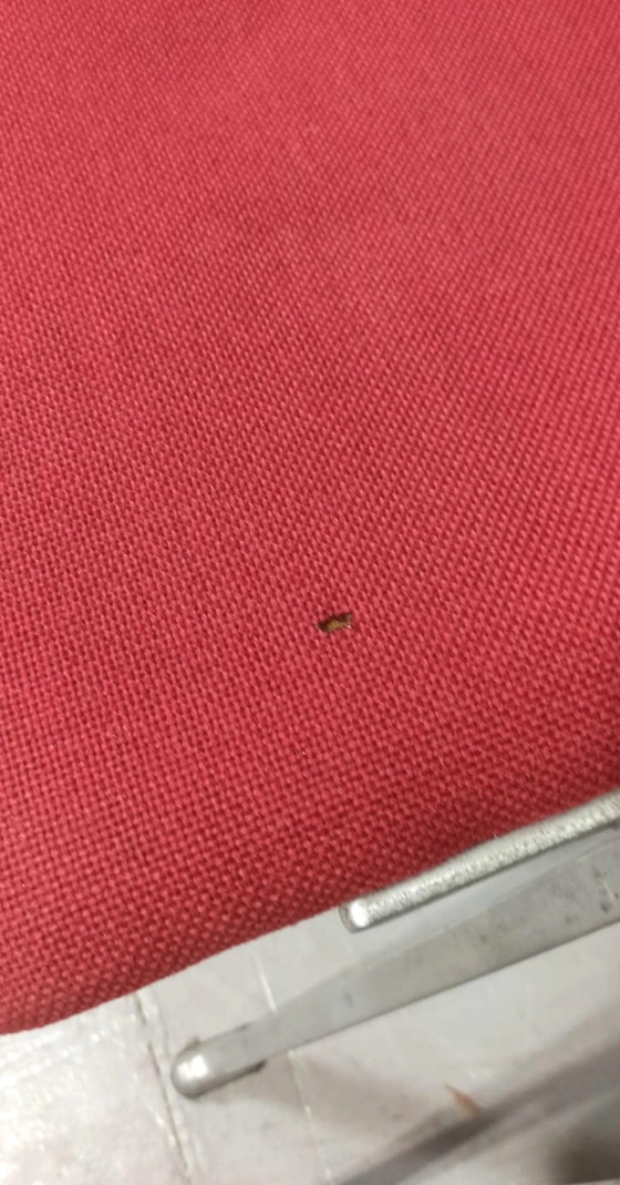 Image 1 of 3 sedie da pranzo vintage