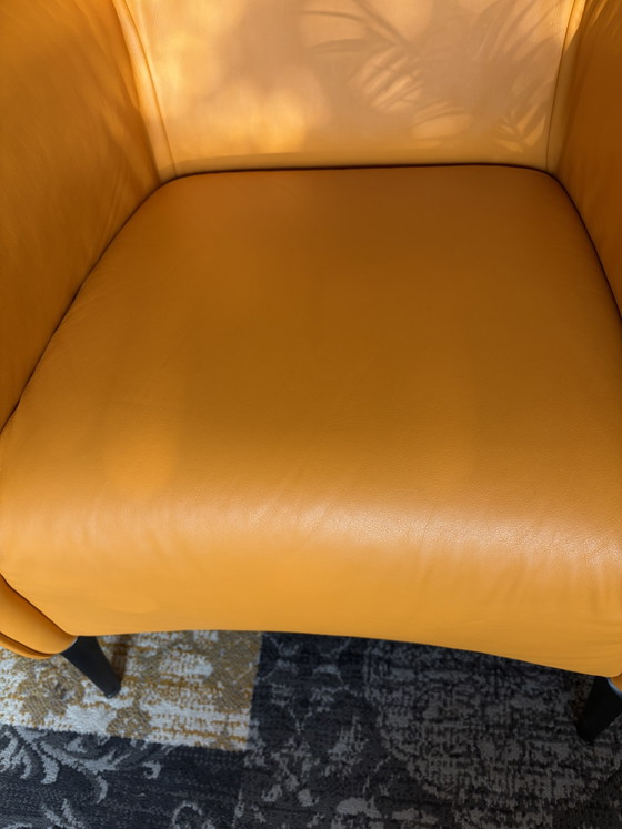 Leolux Mayuro 2x – Armchairs, Leather, Metal (photo 5 of 6)