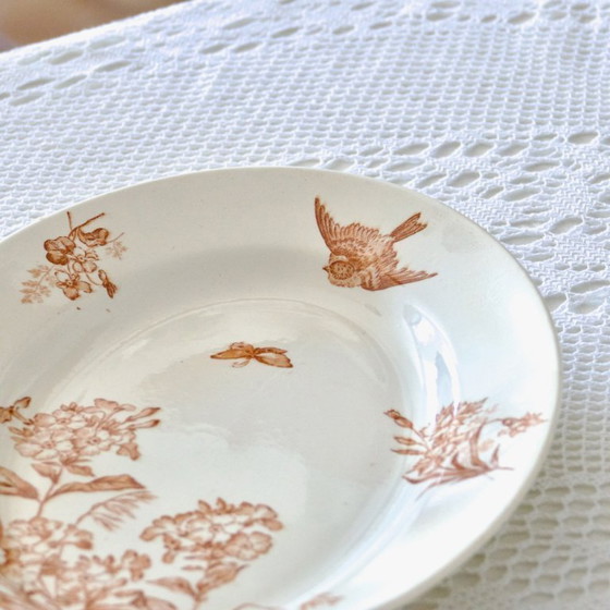 Image 1 of Grand Plat Ovale XIXe signé Longwy Terre De Fer Sépia "Botanique"