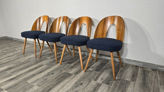 Image 1 of Esstischstühle von Antonin Suman