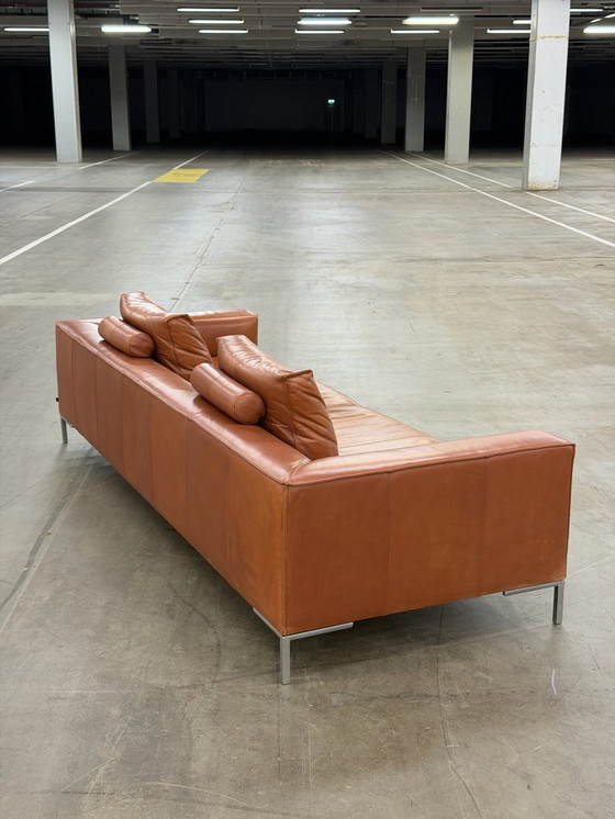 Image 1 of Design on Stock Aikon Lounge | Pelle color cognac