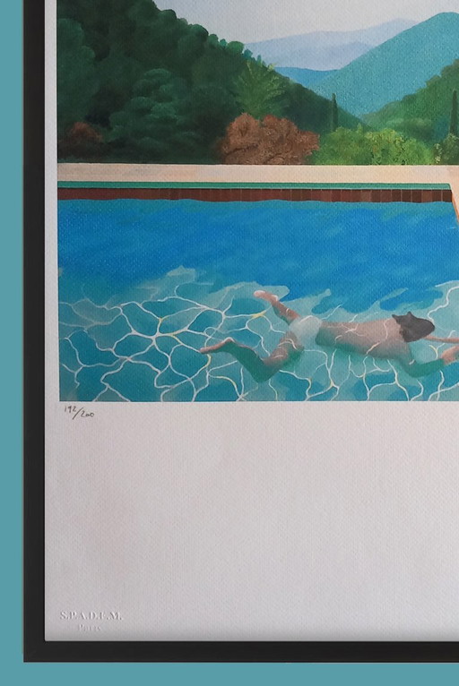 D. Hockney – Lithografie Portrait of an Artist – Ingelijst – lithos zeefdrukken, Paper (photo 2 of 5)
