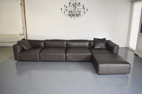 Magnifique canapé modulaire exclusif Walter Knoll EOOS Landscape 740 – Canapés modulables, Leather (photo 16 of 20)