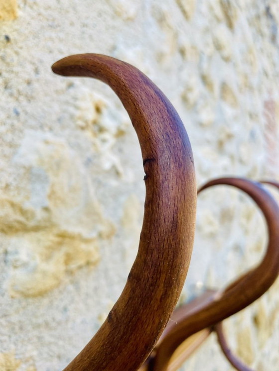 Image 1 of Bugholz, Wandhalterung, Garderobe und Hutständer von Japy Frères, ca. 20er/30er Jahre