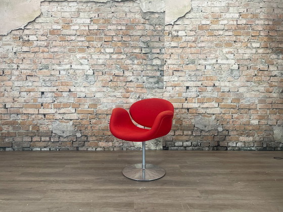 Image 1 of Artifort Little Tulip rosso