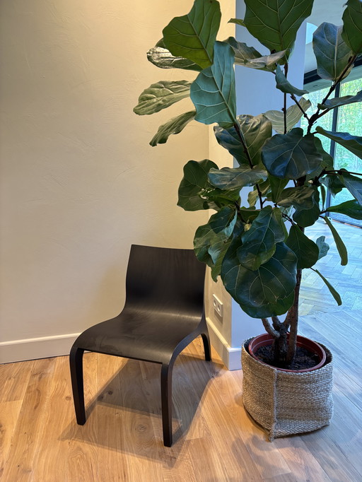 Studio Parade Design Stoel Zwart