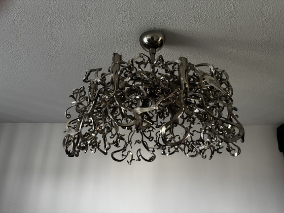 Image 1 of Marchio di Egmond Icy Lady