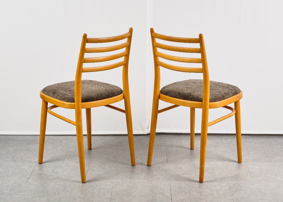Set di 4 Sedie da pranzo, di TON, anni '60, Cecoslovacchia – Tessile, Legno (photo 7 of 20)