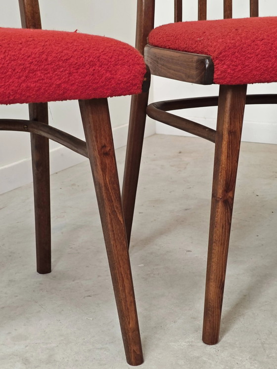 Juego de 4 sillas de comedor rojas de Antonin Suman para Interier Praha. – Wood, Mid Century Modern (photo 9 of 14)