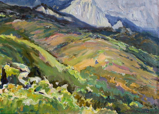 Pintura al óleo original Paisaje Naturaleza Prados Rocas con Vistas a la Montaña – Pinturas y dibujos, Canvas (photo 5 of 5)
