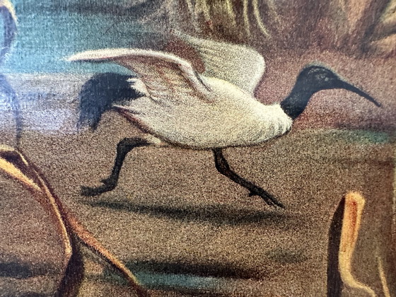 Image 1 of Vintage linen school map - Hippopotamus