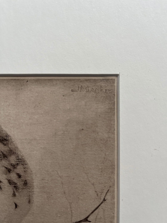 Jan Mankes 1889-1920 / Heliograbado Zorzal en rama 1923 – Litografías y grabados, Paper (photo 10 of 11)
