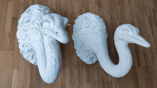 2X Autruche
