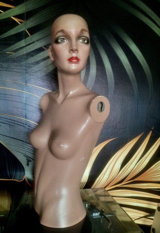 Image 1 of Mannequin torso