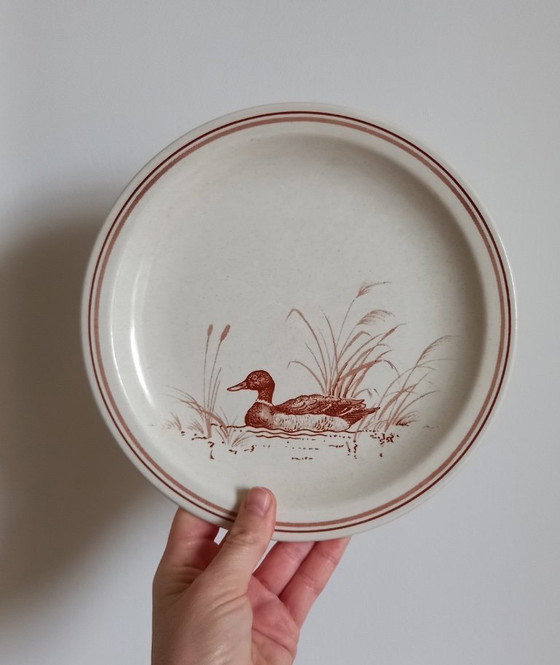 Image 1 of x5 Piccoli piatti e tazze vintage in gres CHURCHILL Ducks.
