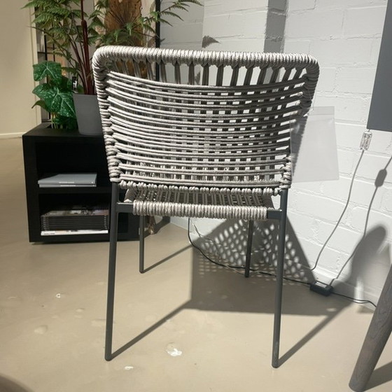 Image 1 of Sedia da pranzo Tonon Cordoba