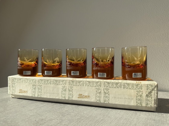Moser Tsjechoslowakije Amber Kristallen Whiskyglazen Jachtvogels Doos, Gesigneerd – Glazen & Karaffen (photo 2 of 12)