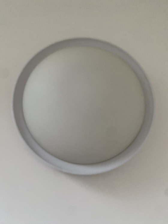 Image 1 of Lámpara de pared - lámpara de techo Linea Verdace Design