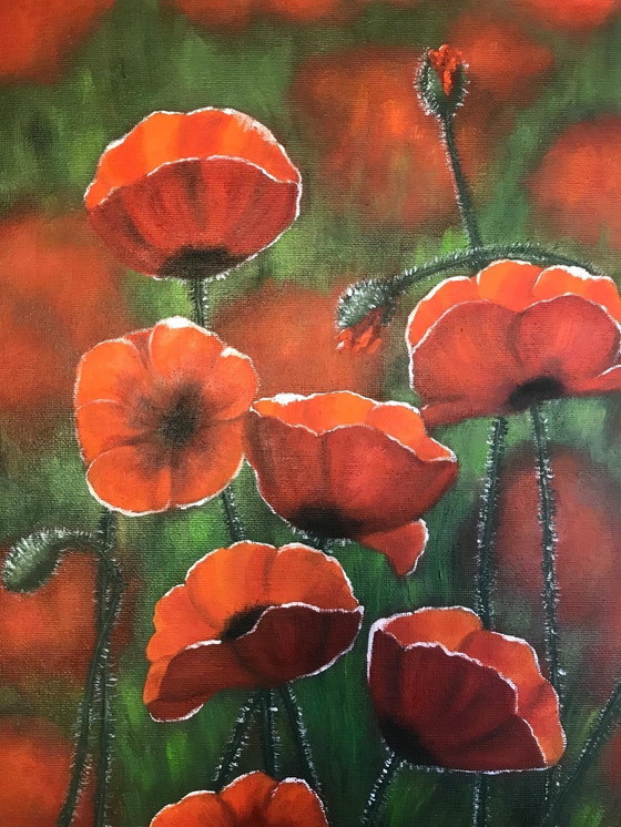 Image 1 of Pintura al óleo - Irina Gauss - Amapolas en verano