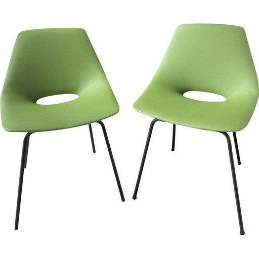 Pair of vintage Tonneau chairs in green imitation by Pierre Guariche, 1955