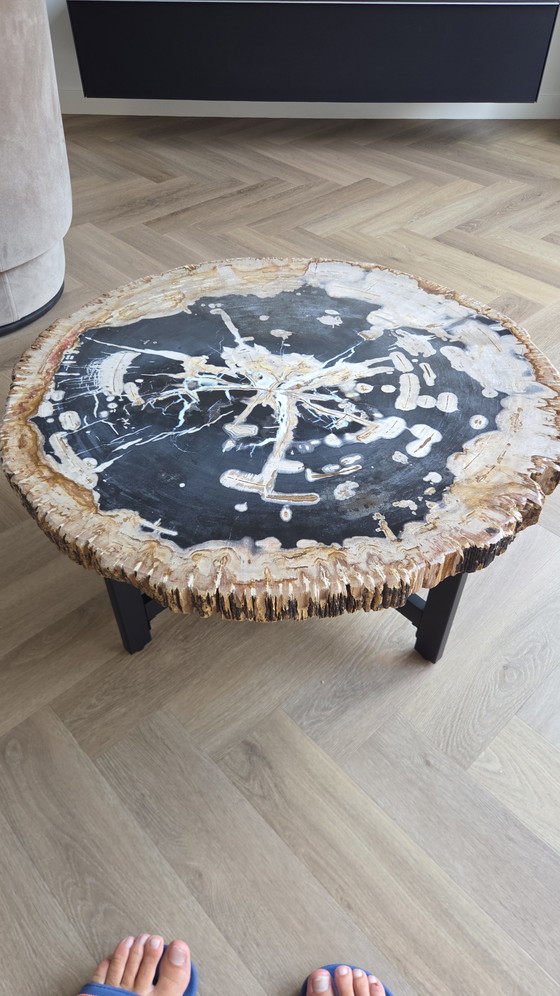 Versteinerter Baumstamm Couchtisch!!! – Couchtische, Metal, Stone (photo 7 of 8)