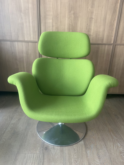 Artifort Tulip Sessel – Pierre Paulin – Grün