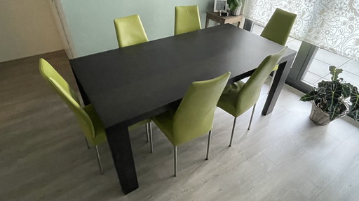 Table de salle à manger et 6 chaises en cuir vert