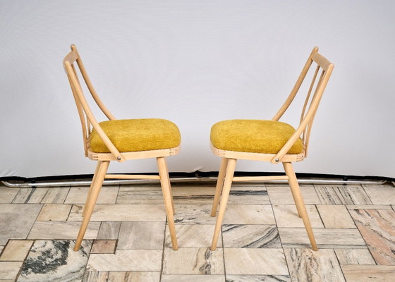 Image 1 of Set of two Vintage Chairs, designed by A. Suman in Czechoslovakia, 1960s