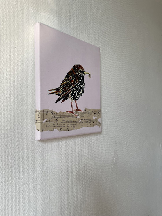 Image 1 of Retrato de un joven estornino