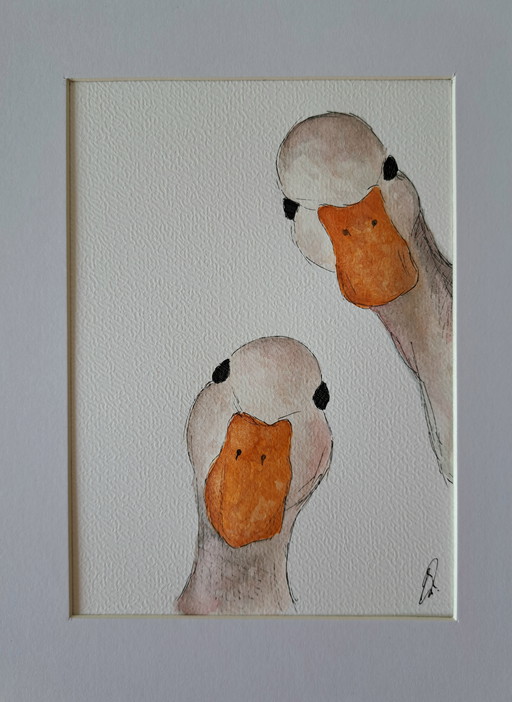 Aquarelle représentant deux oies | Encadrée