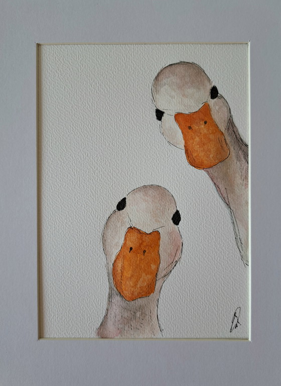 Image 1 of Aquarelle représentant deux oies | Encadrée