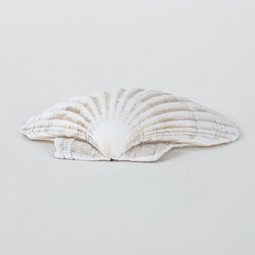 Coquillage décoratif, style bohème, années 1980