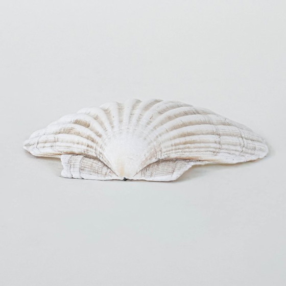 Image 1 of Coquillage décoratif, style bohème, années 1980