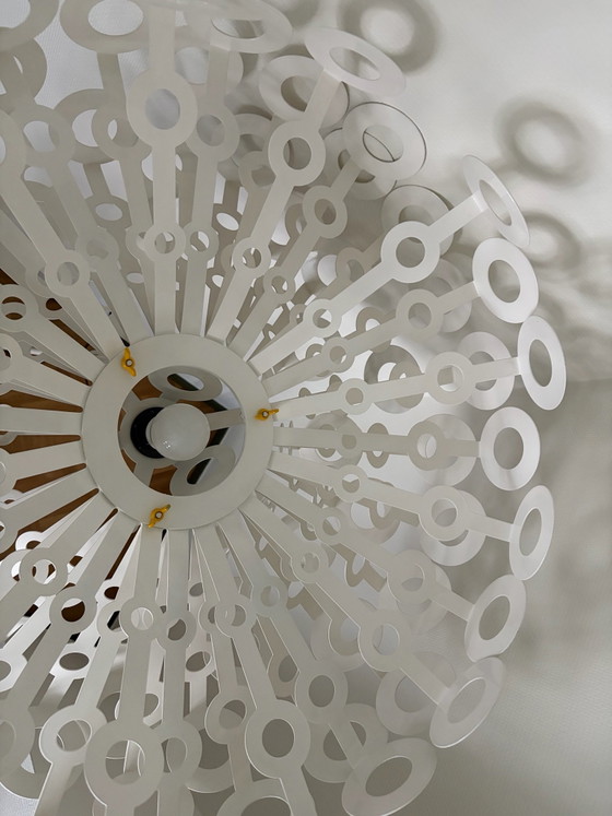 Dandelion Stehleuchten Richard Hutten – Moooi, Metall, Kunststoff (photo 6 of 10)