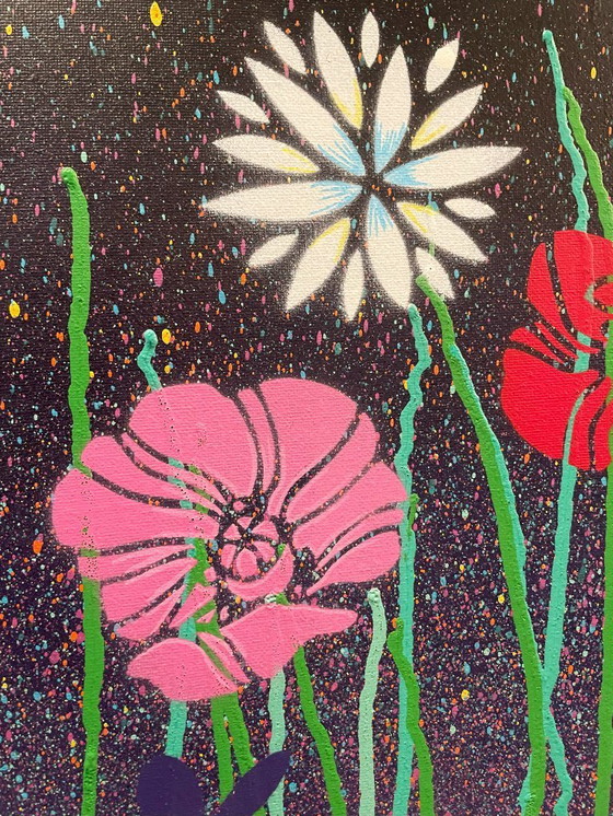 Image 1 of Il signor Proze (1972) – Belles Deschamps