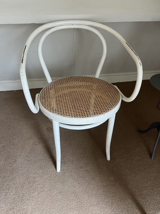 Image 1 of 2 Witte Stoelen Thonet 209 van Ligna