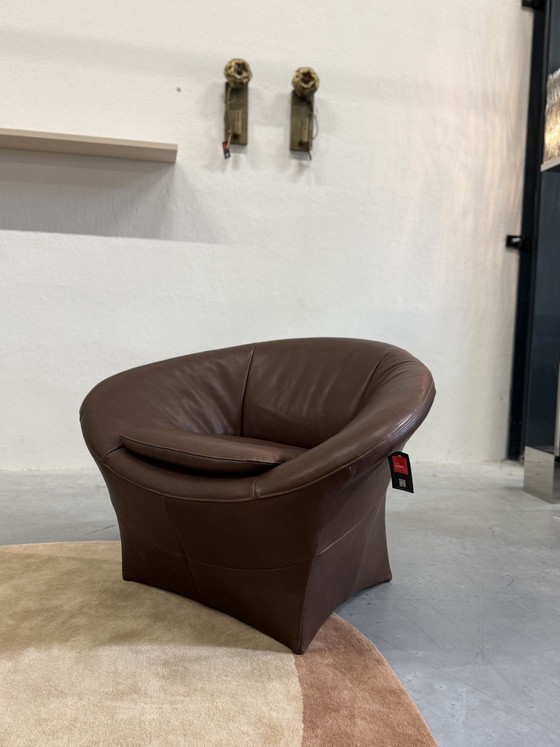 Image 1 of Label van den Berg Ace Lounge, cuero marrón.