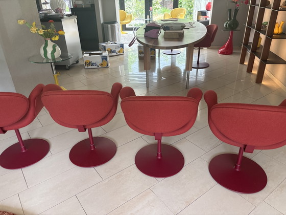 Image 1 of 4 Original Artifort Little Tulip Rosso (non rosso acceso). 1 anno. Acquistati da Gilsing Zevenaar
