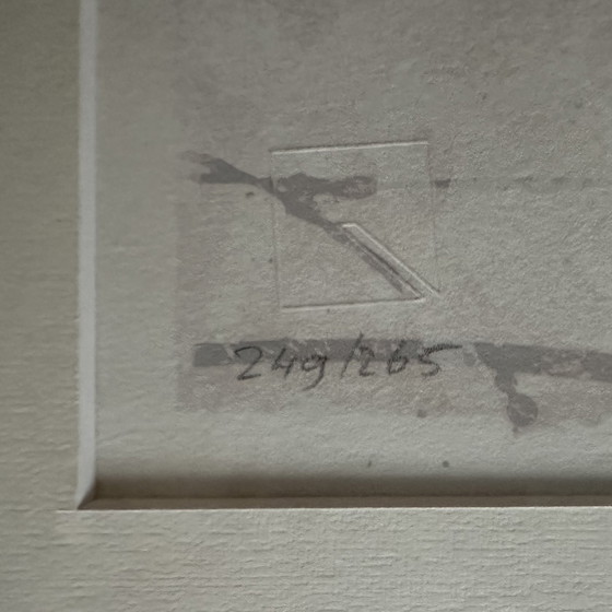 Image 1 of Zeefdruk Rob de Graaf - Chaos is een aparte werkelijkheid IV