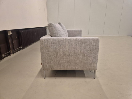Image 1 of 50% SHOWROOM OUTLET Montis Daley - 3-seater Sofa - Grey - SALE