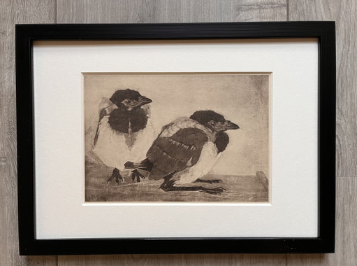 Jan Mankes 1889-1920 / Héliogravure originale 2 Jeunes Pies 1923