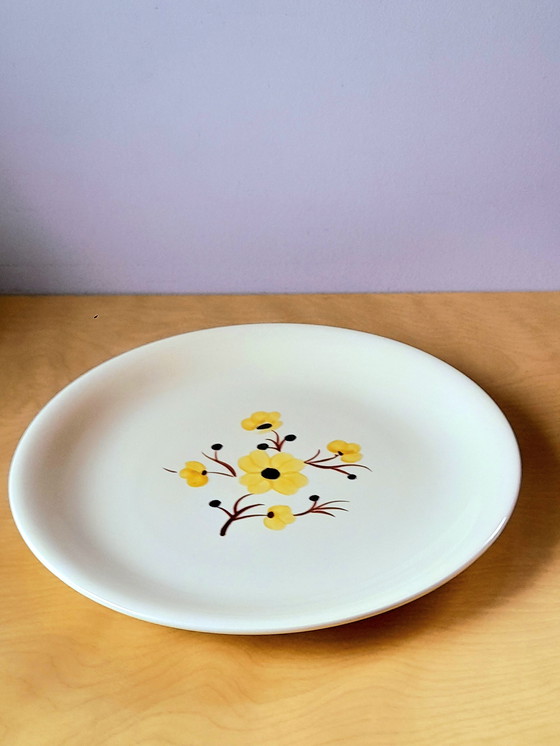Image 1 of Earthenware dish from Salins, Catherine pattern, 30 cm.
