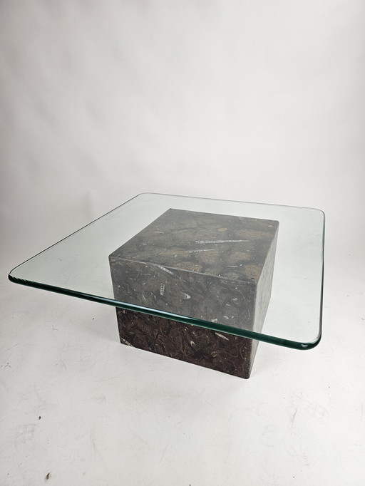 Coffee table with petrified fossil base and cut thick glass top